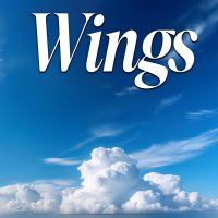 Wings - Instrumental W/ Backing Vocals cover